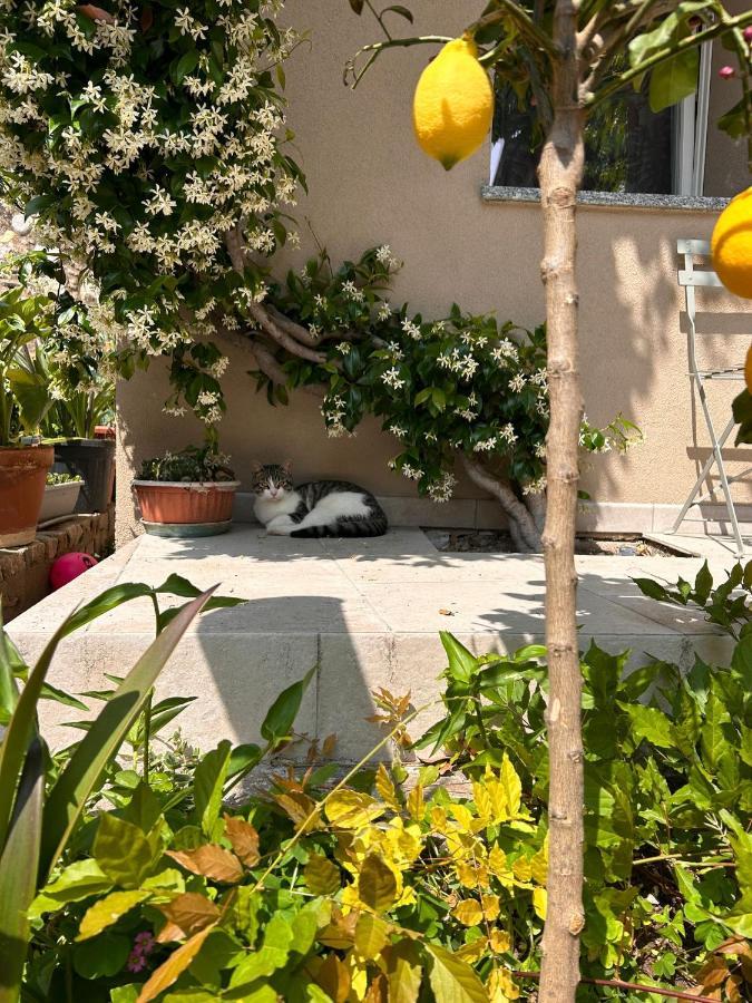 Bea Trees - Lake Garda Puegnago Ngoại thất bức ảnh
